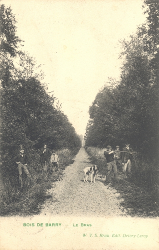 BARRY - Bois de Barry, le Bras - Oblitération 1909